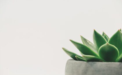 Plant and Garden App